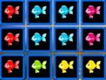 1010 Blocos de Peixe