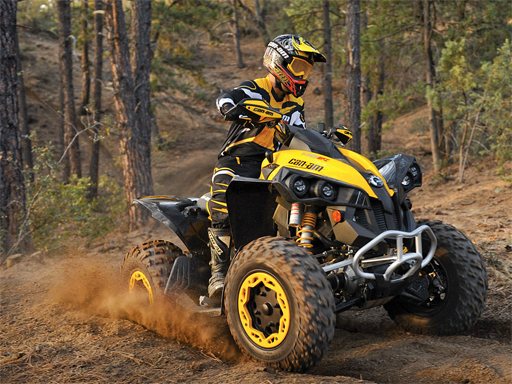 Quebra-cabeça offroad de quadriciclo