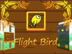 Voo Bird