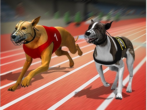 Simulador de corrida canina: jogos de corrida canina maluca