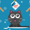 the cat drink milk