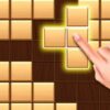 wood block puzzles